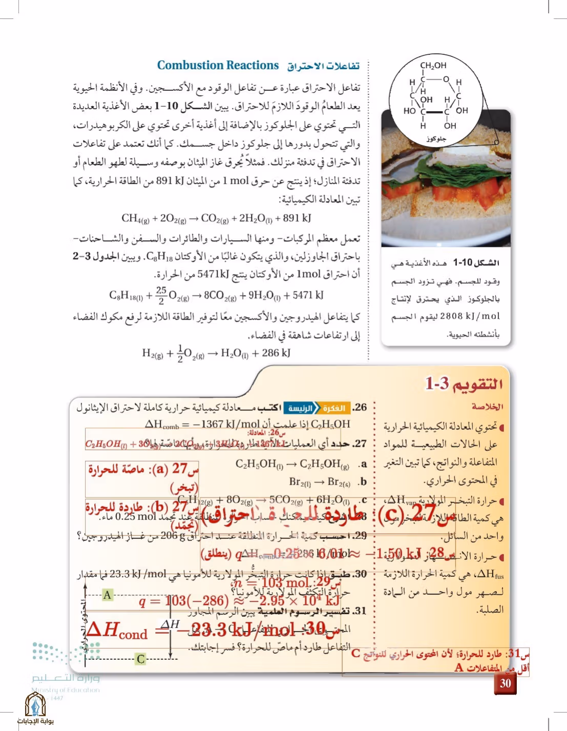 صفحة 30