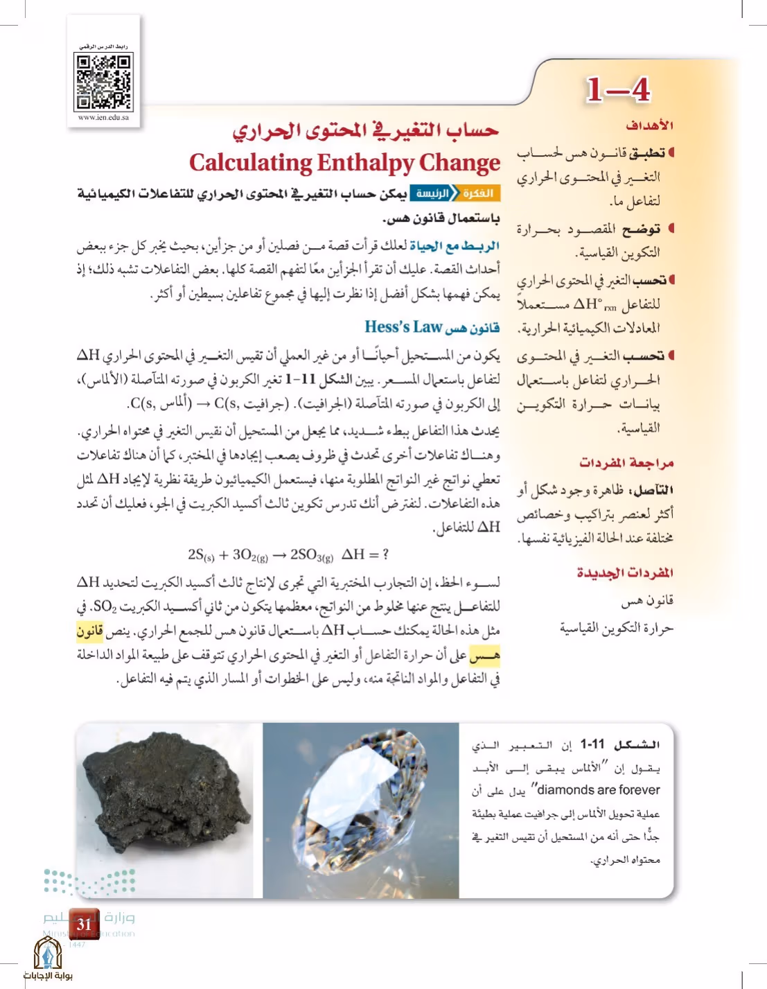 صفحة 31