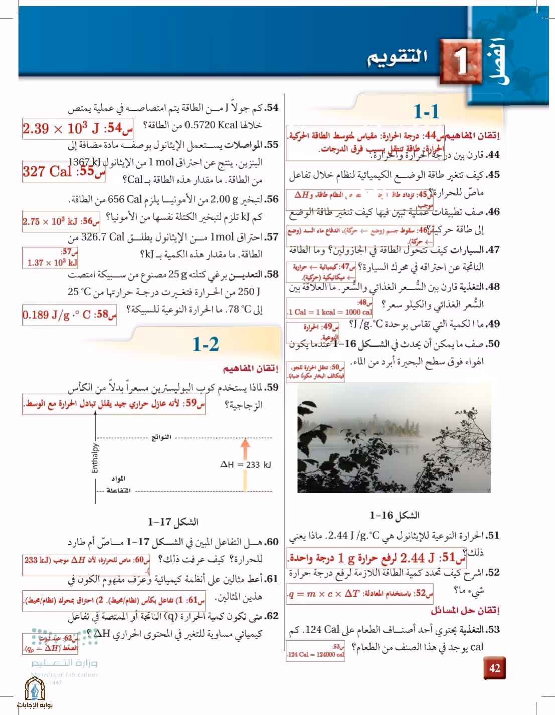 صفحة 42