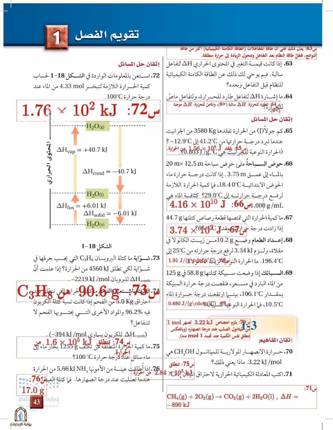 صفحة 43