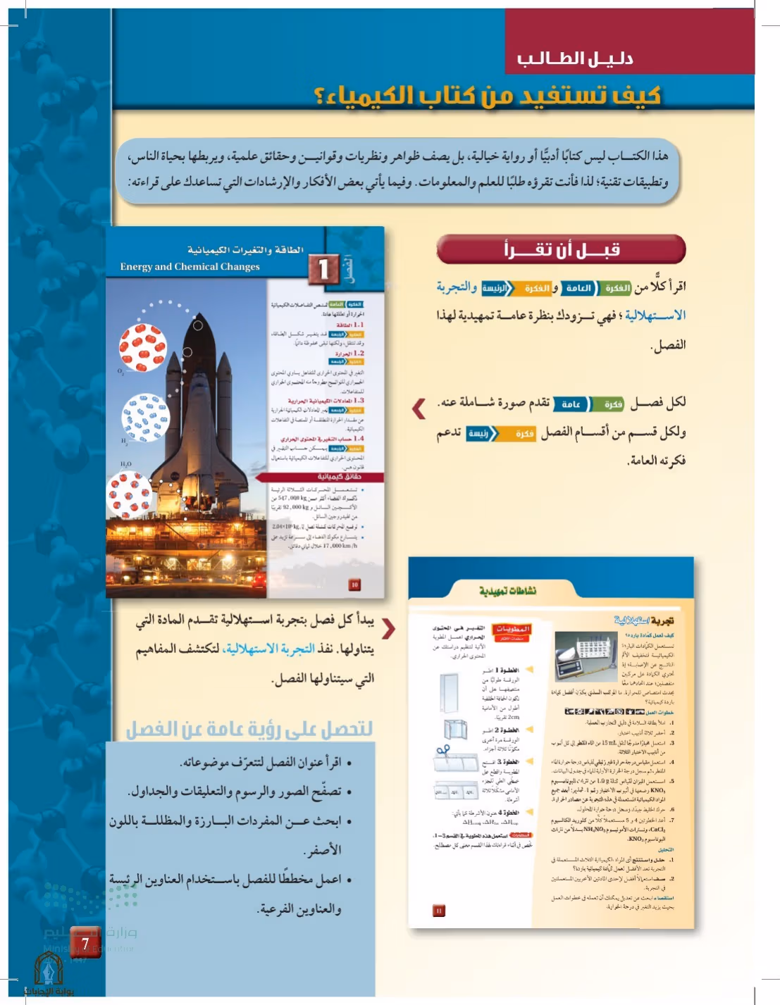صفحة 7