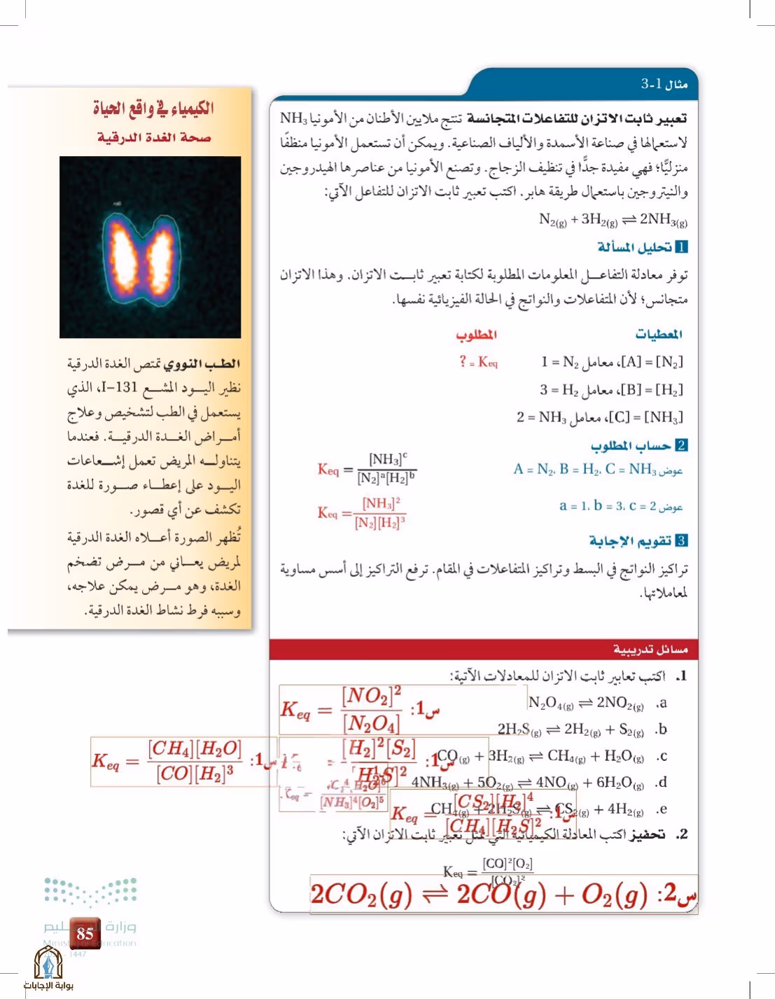 صفحة 85