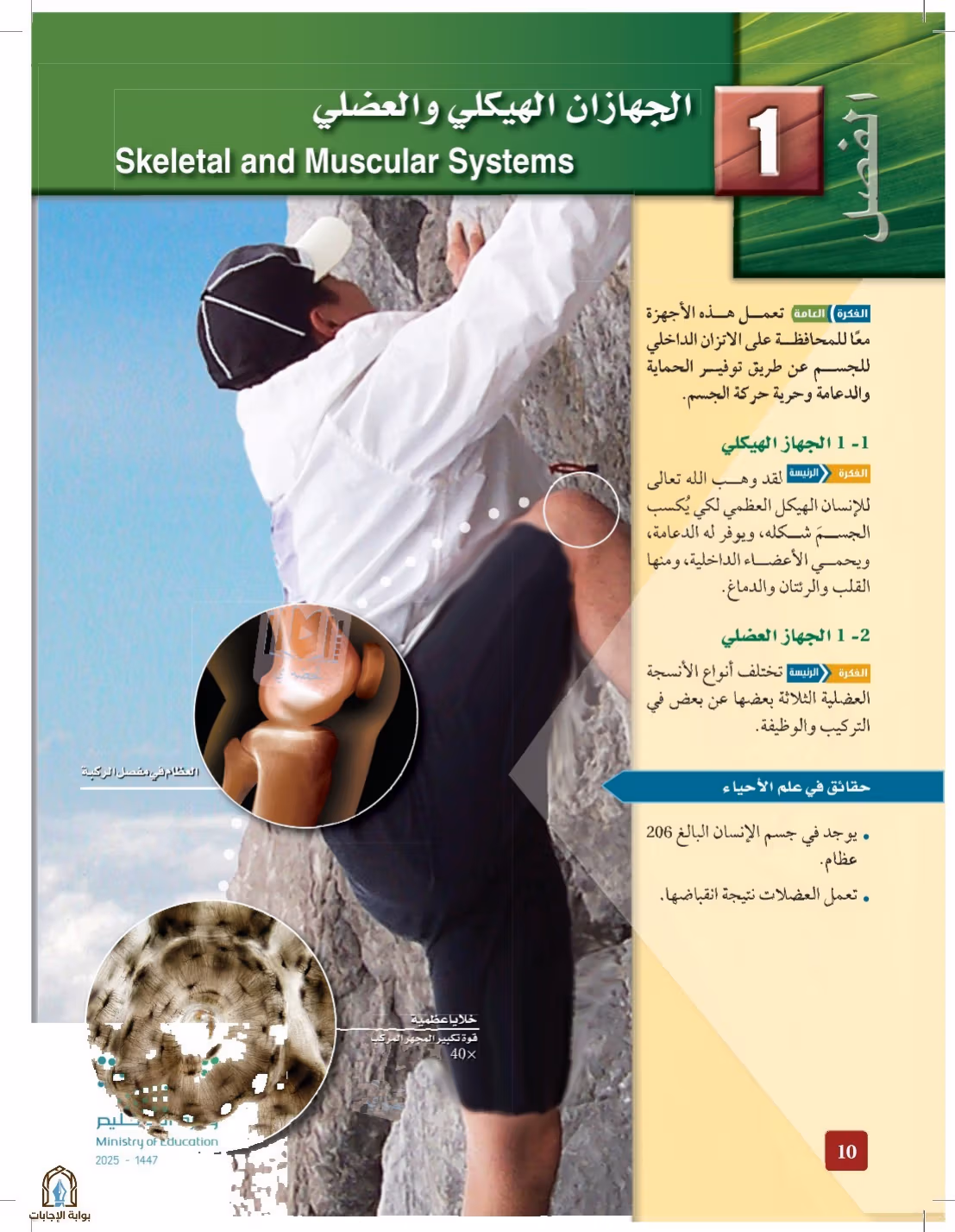 صفحة 10