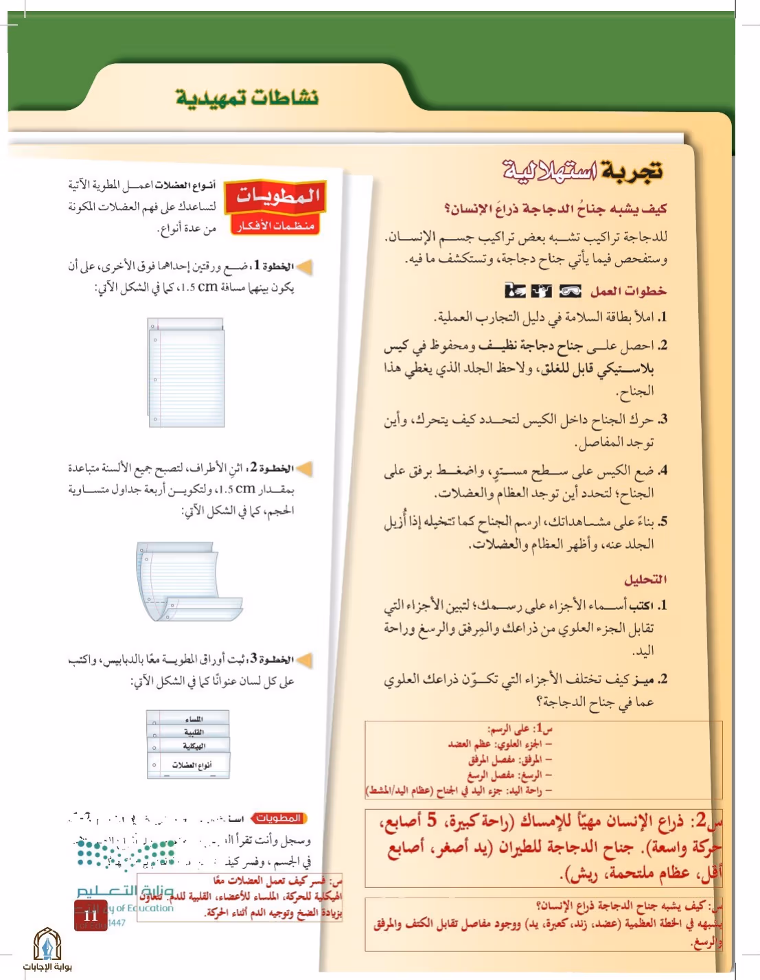 صفحة 11