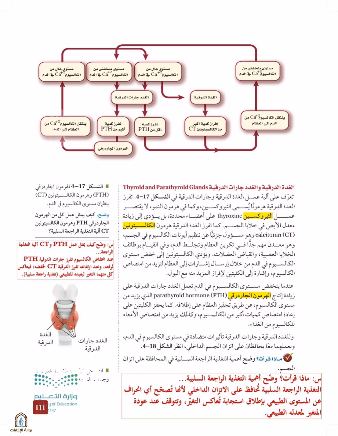 صفحة 111
