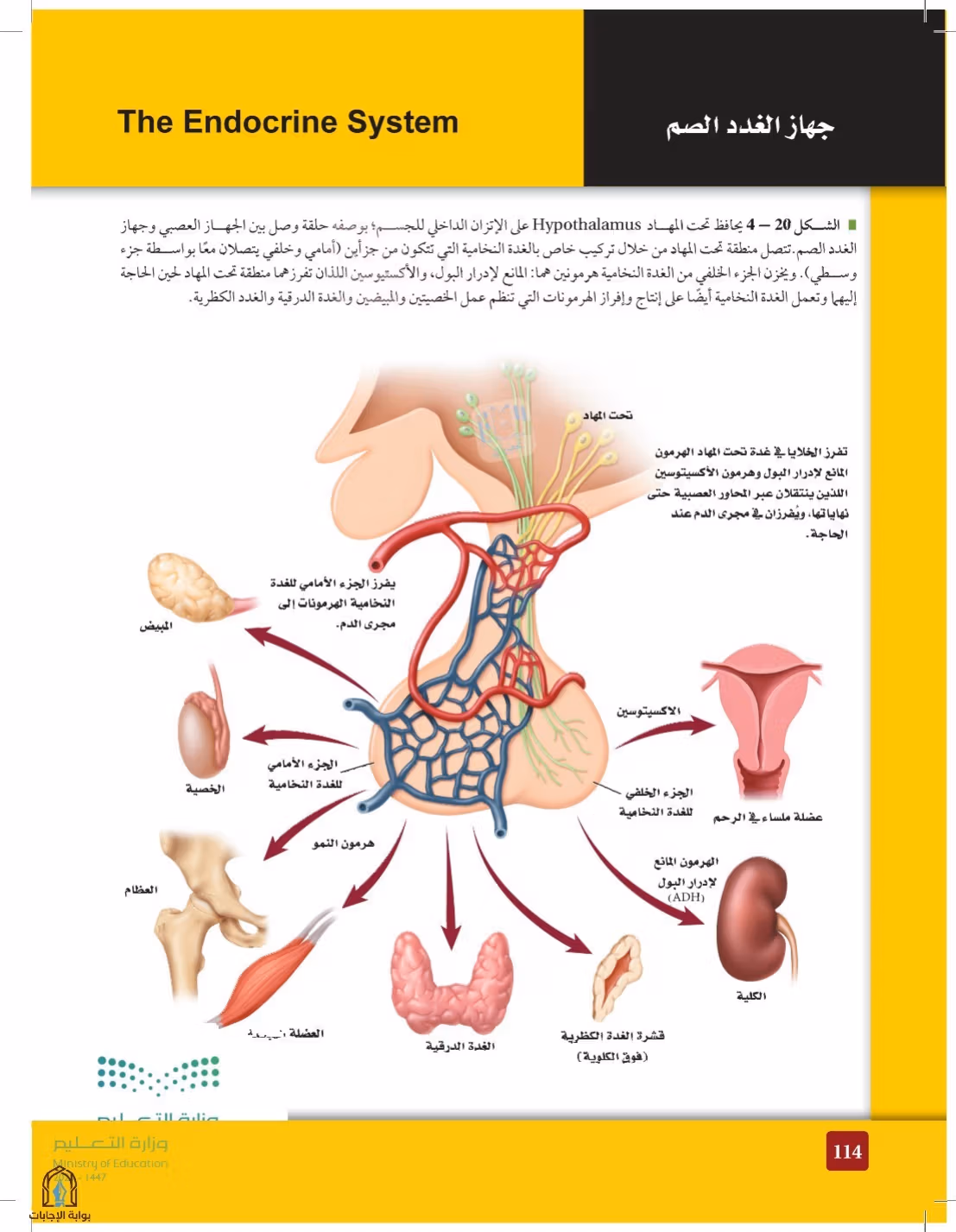 صفحة 114