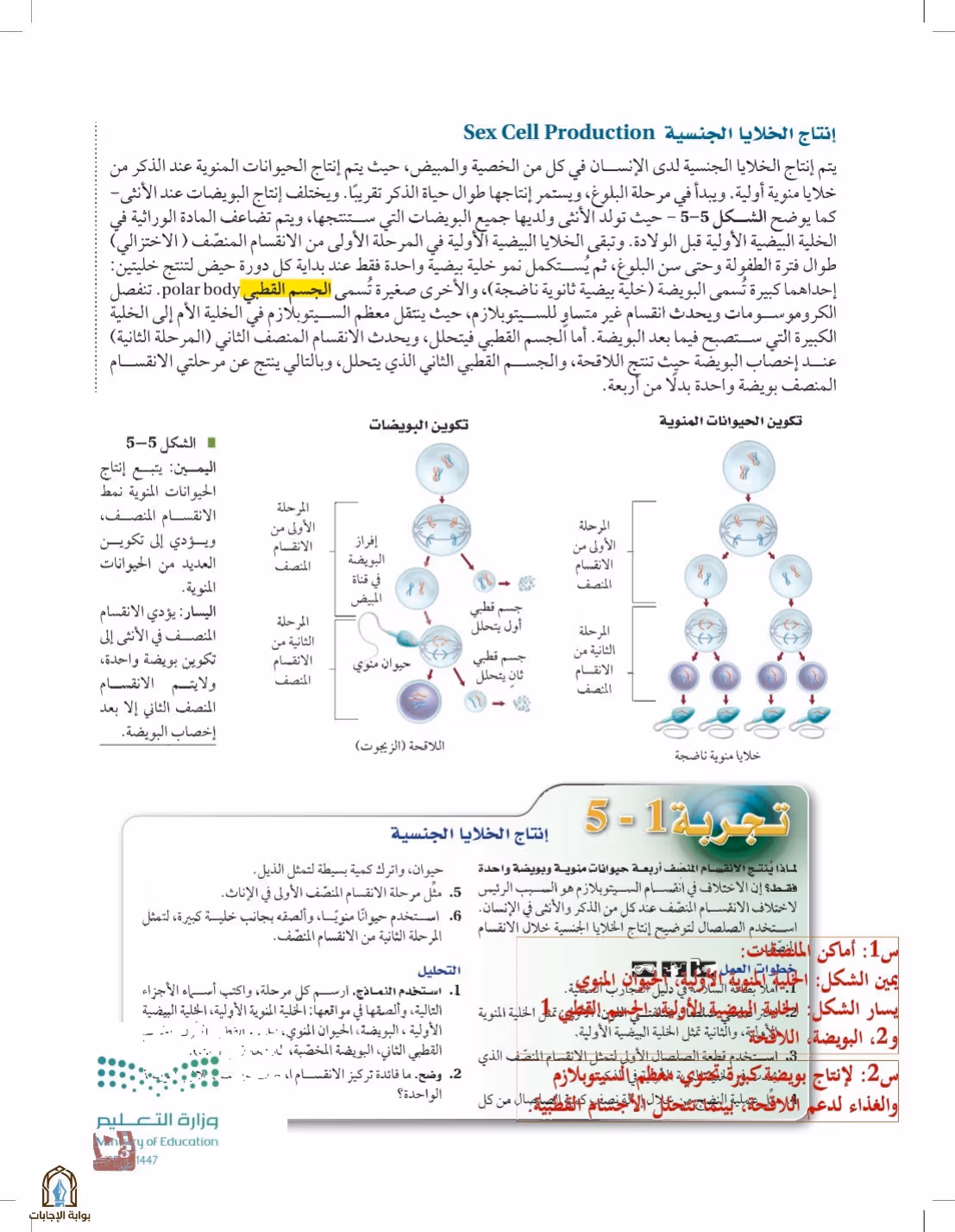 صفحة 133