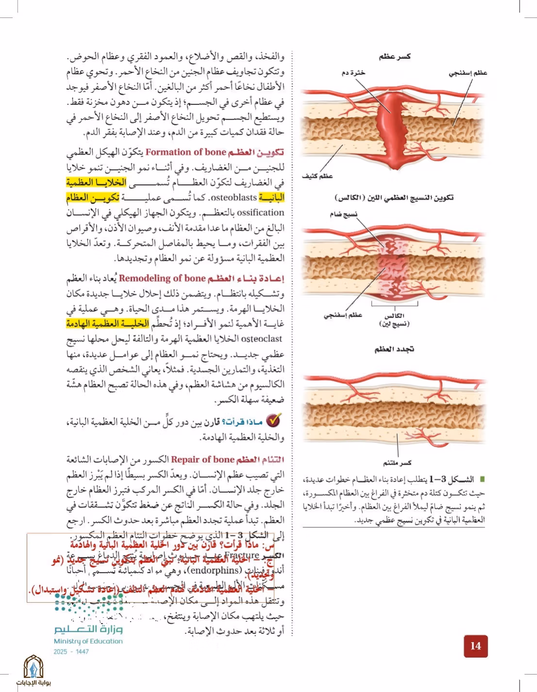 صفحة 14