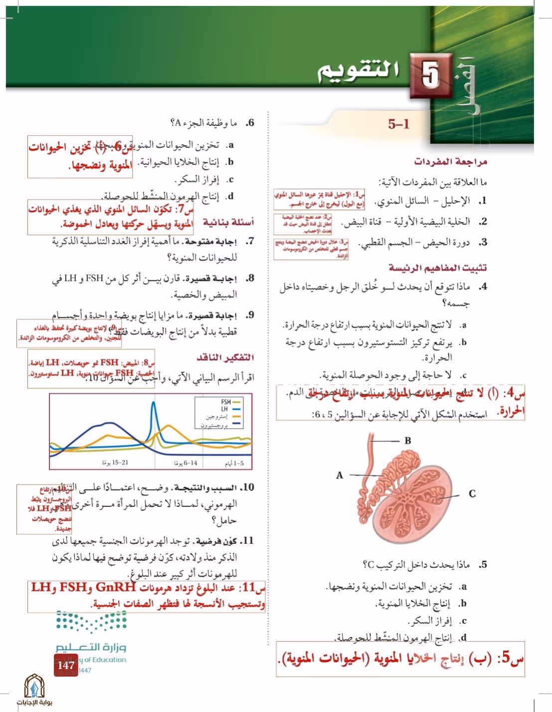 صفحة 147