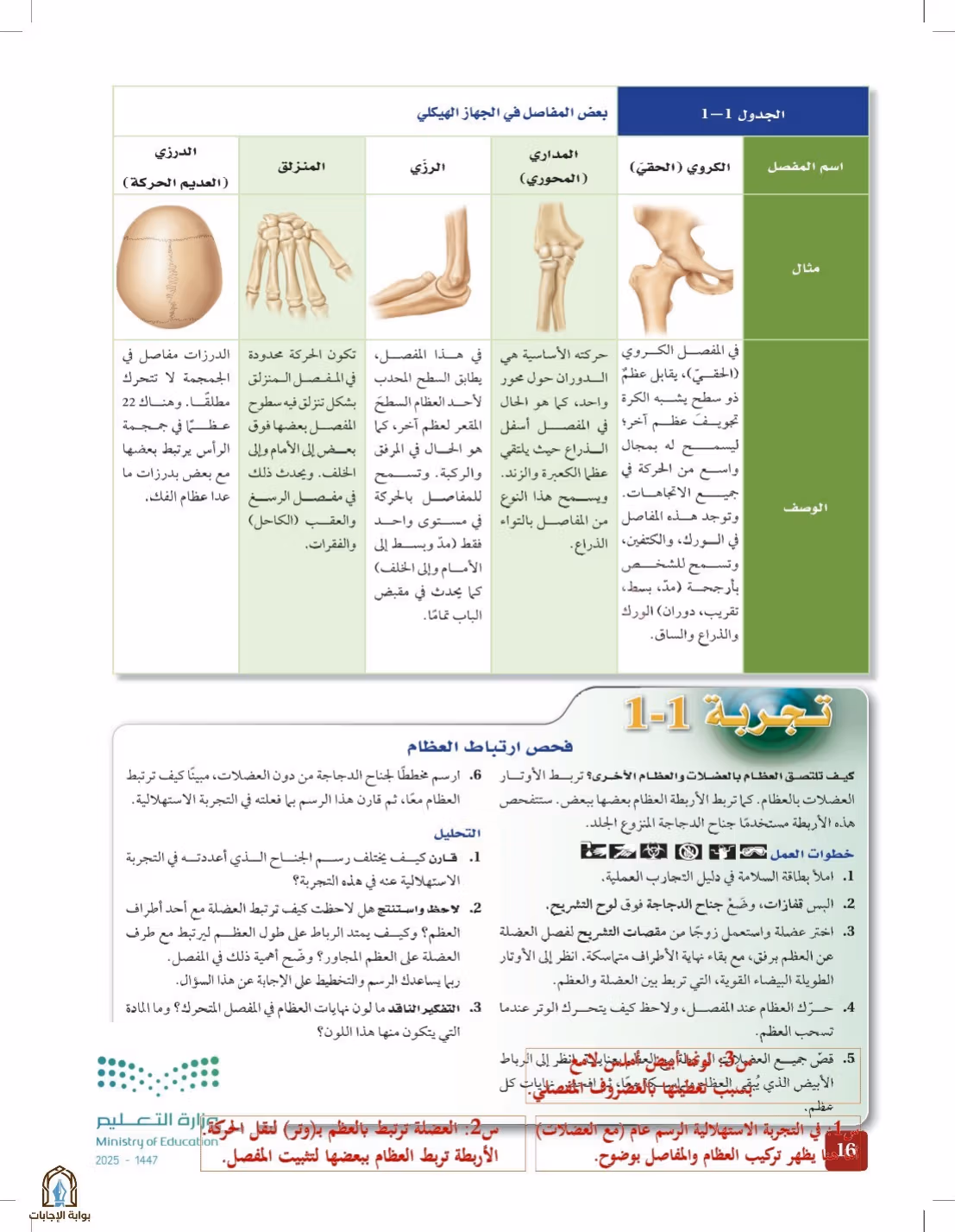 صفحة 16