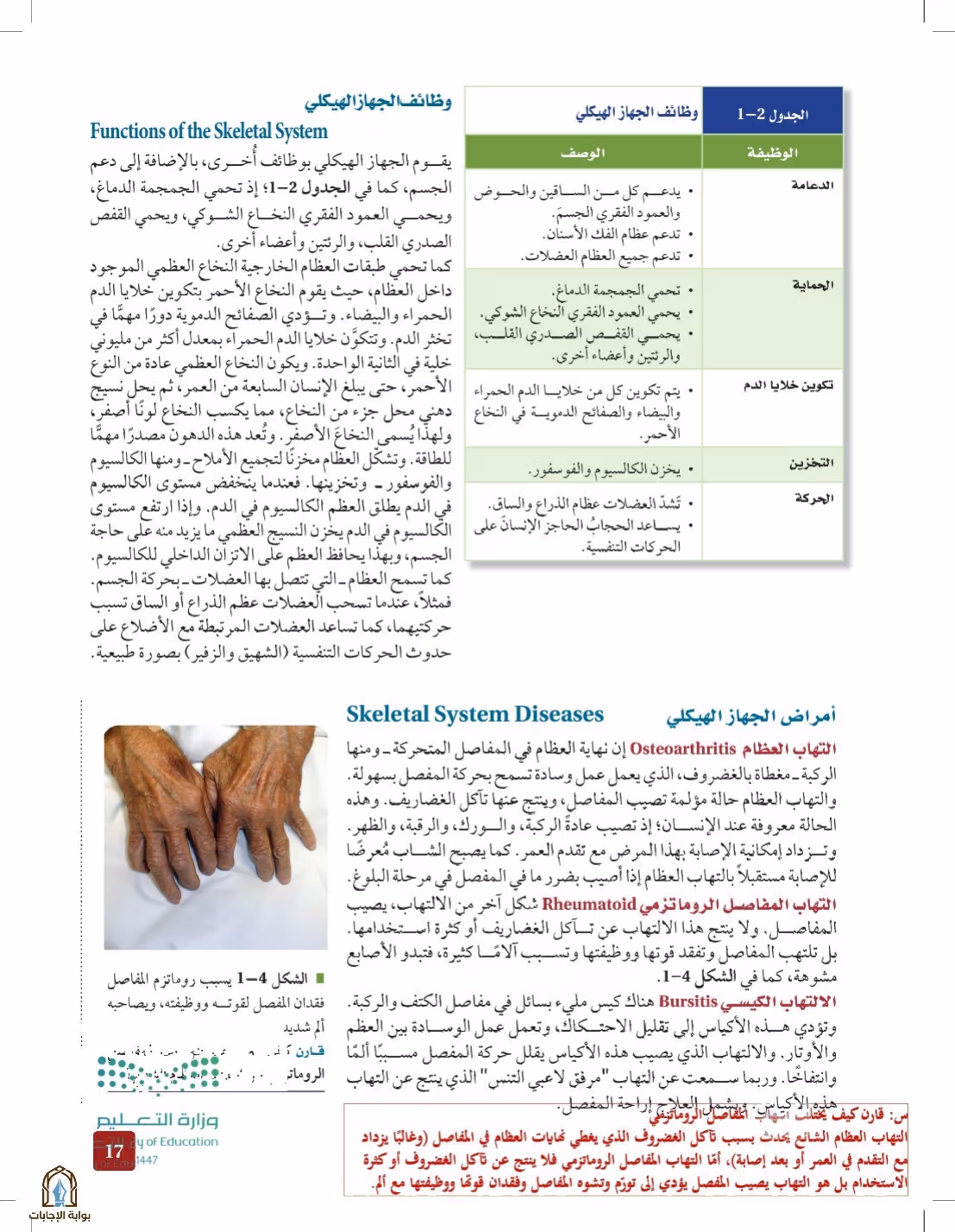 صفحة 17