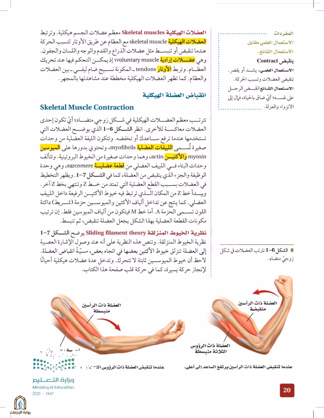 صفحة 20