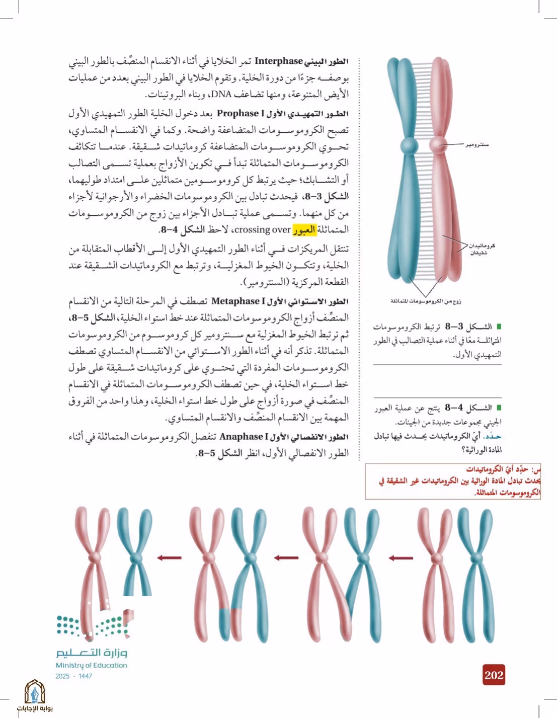 صفحة 202