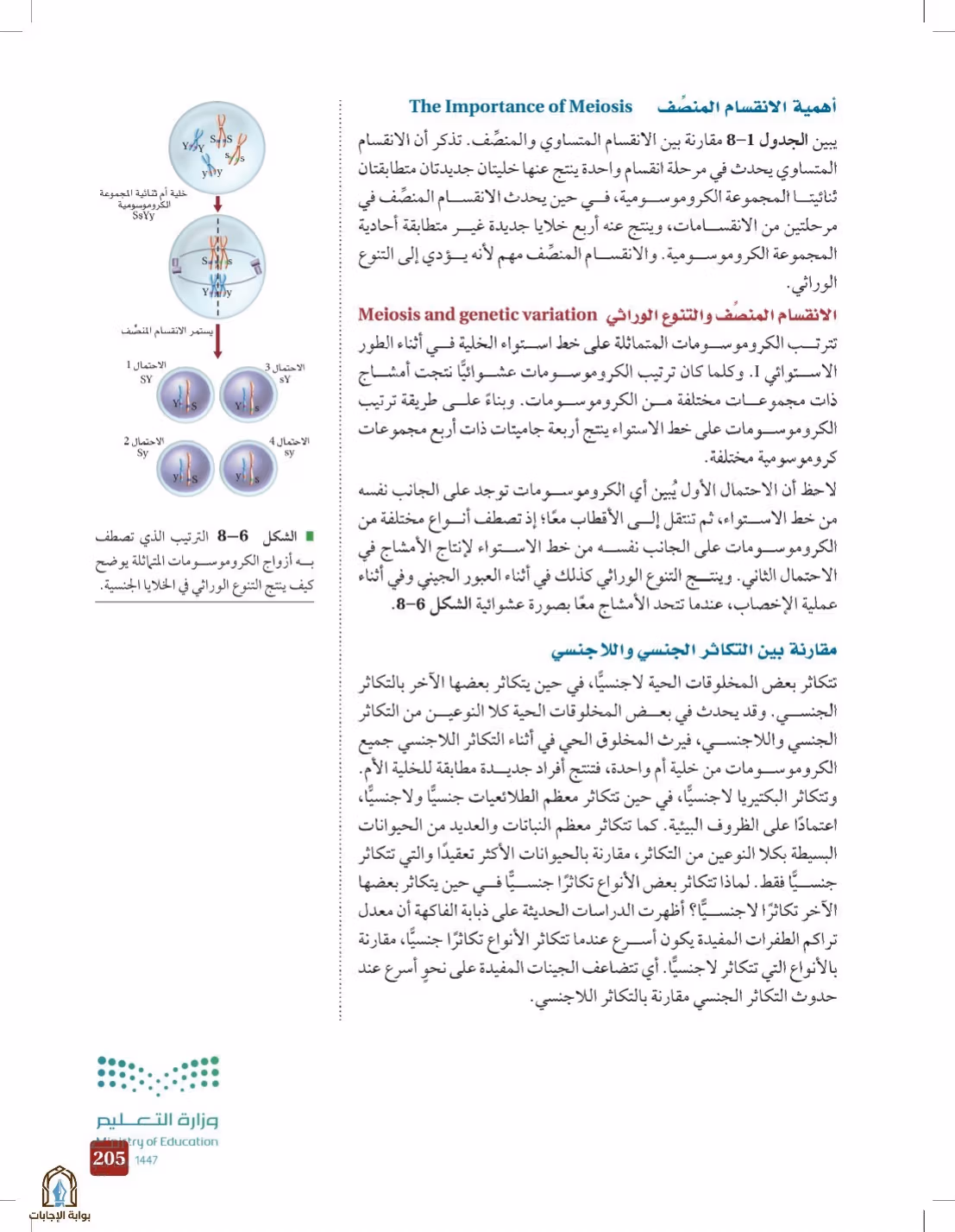 صفحة 205