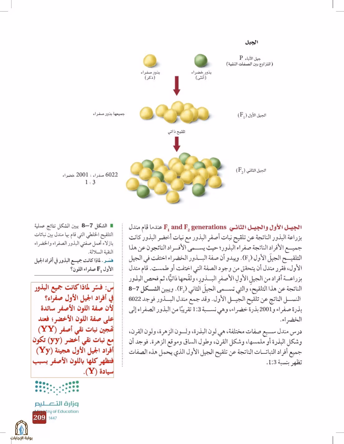 صفحة 209
