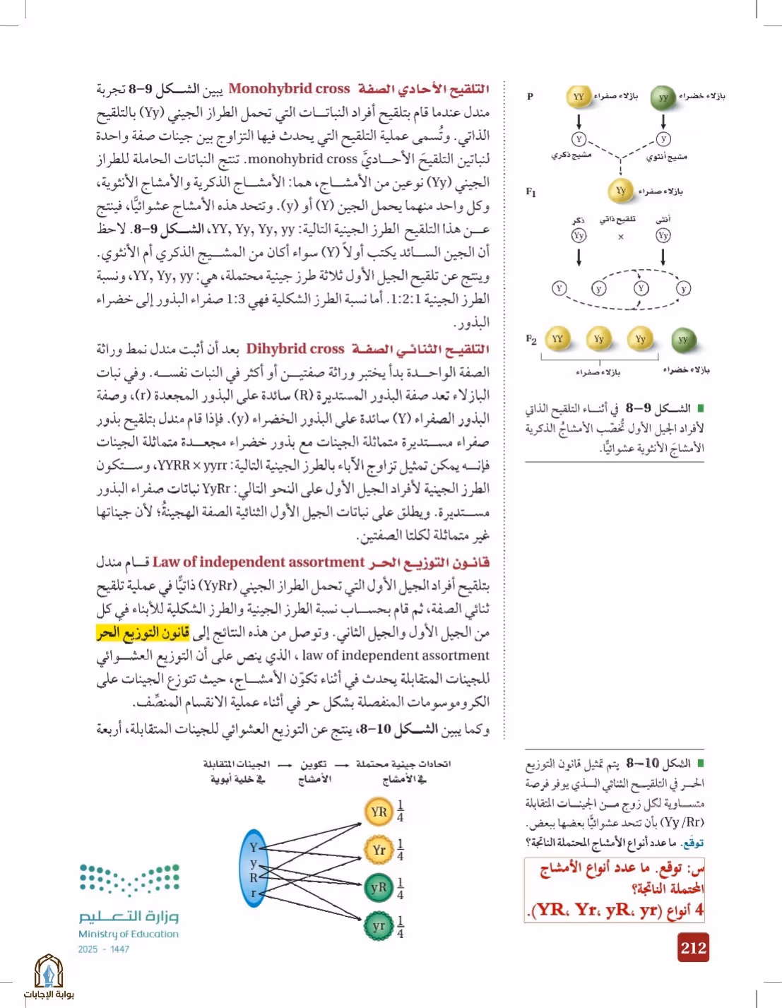 صفحة 212