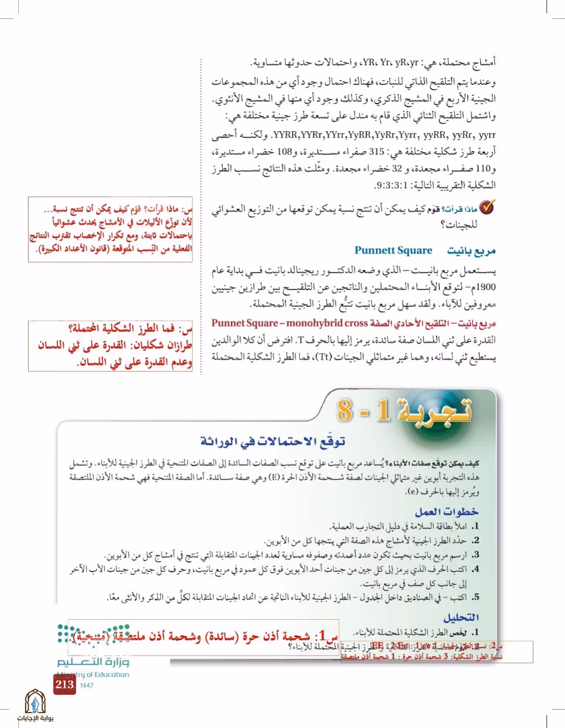 صفحة 213