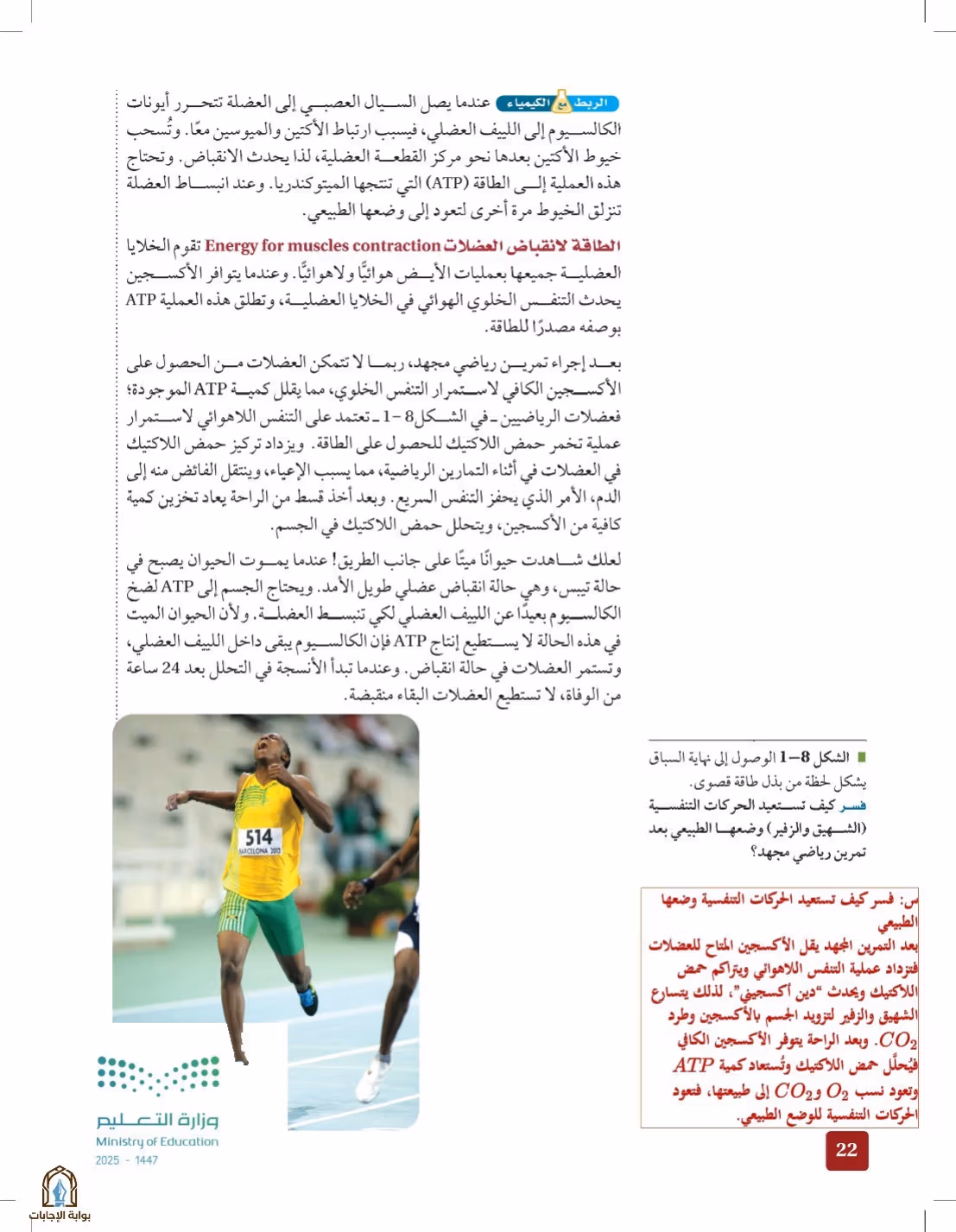 صفحة 22