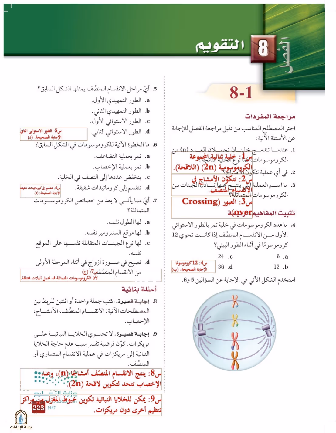 صفحة 223