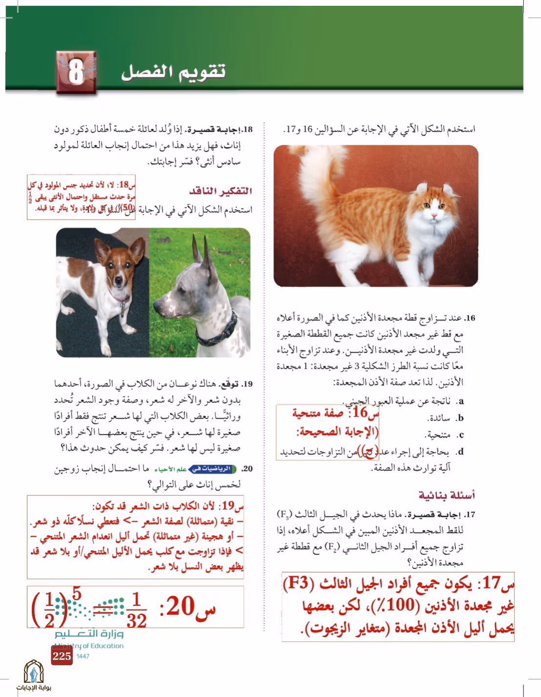 صفحة 225