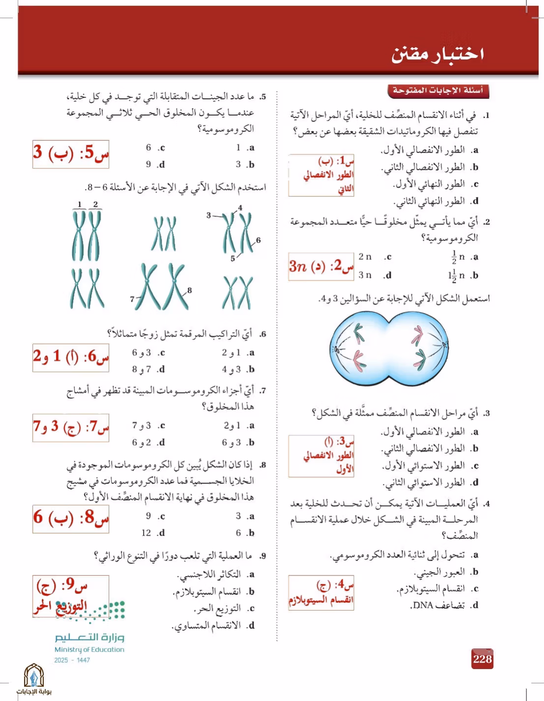 صفحة 228