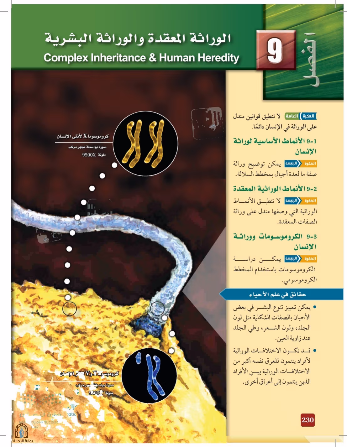 صفحة 230