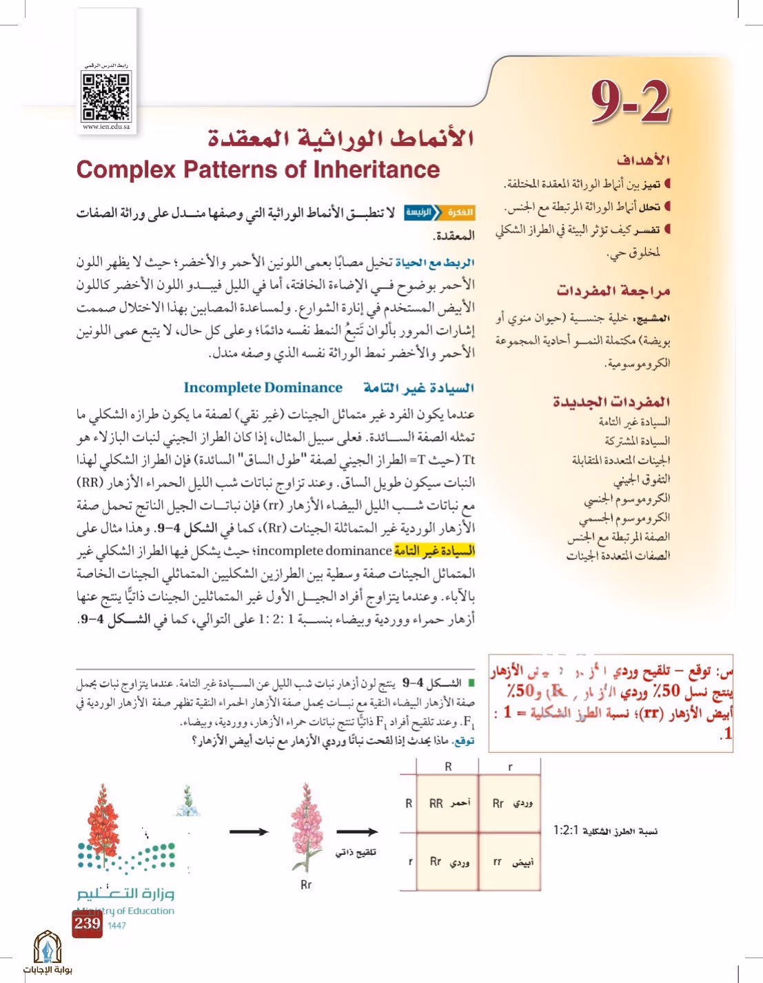 صفحة 239