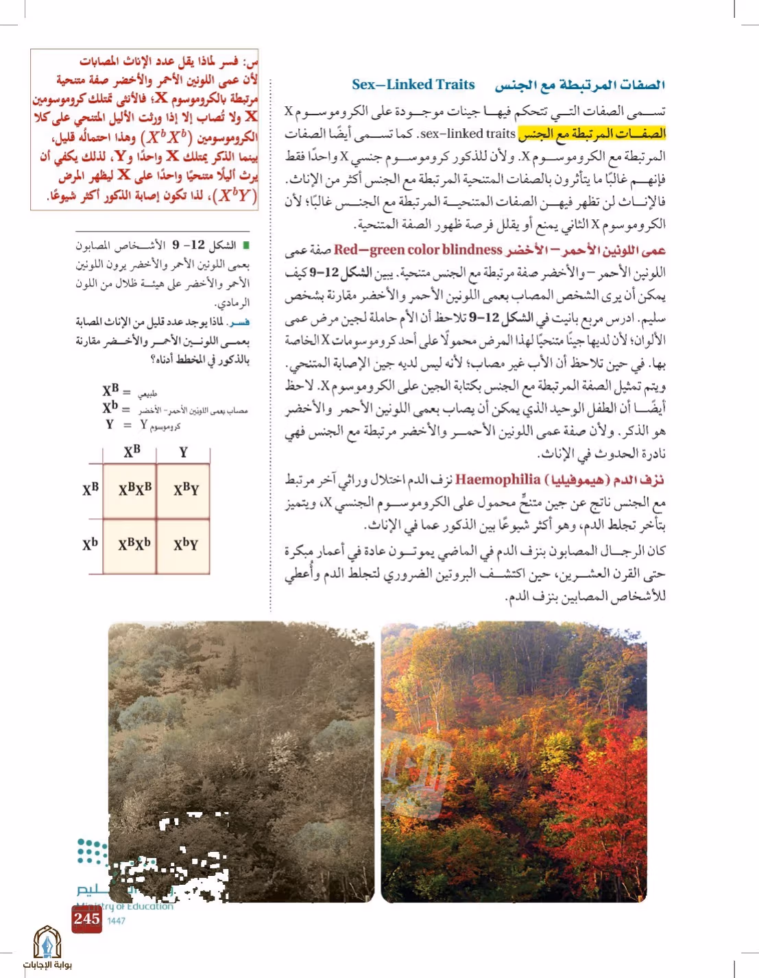 صفحة 245