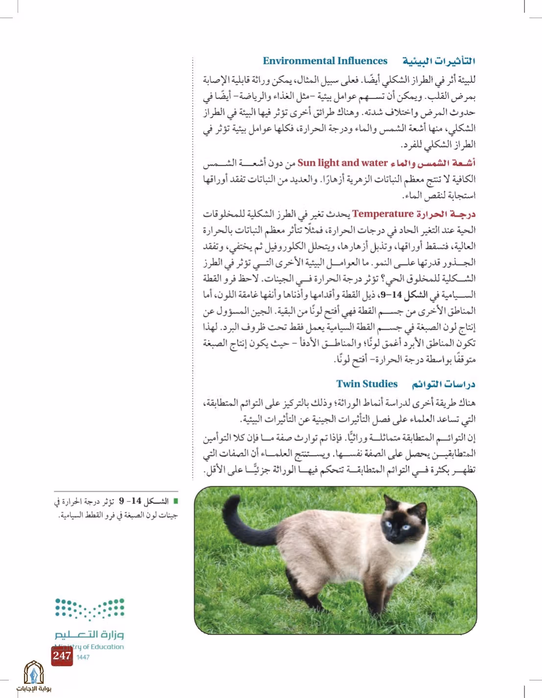 صفحة 247