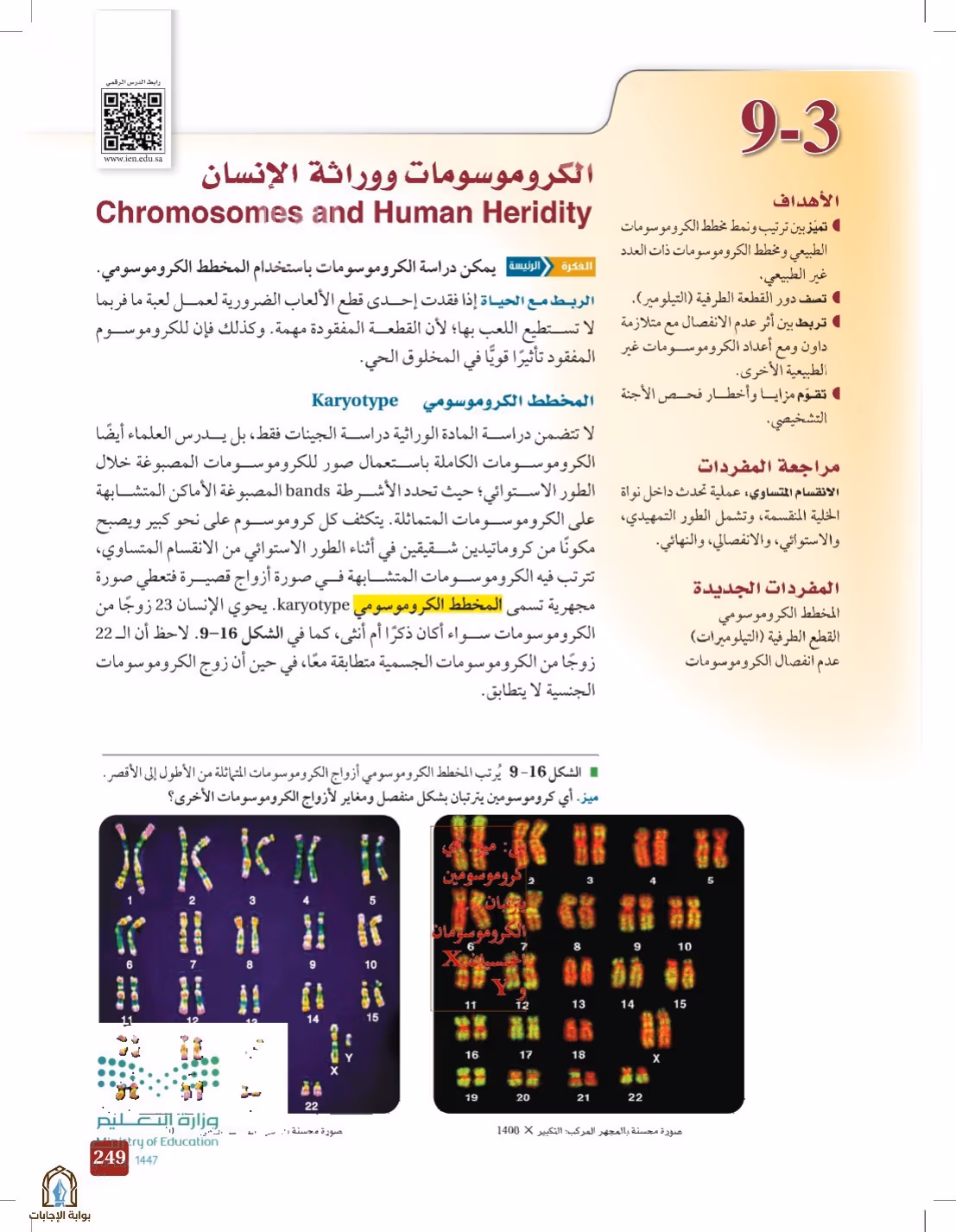 صفحة 249