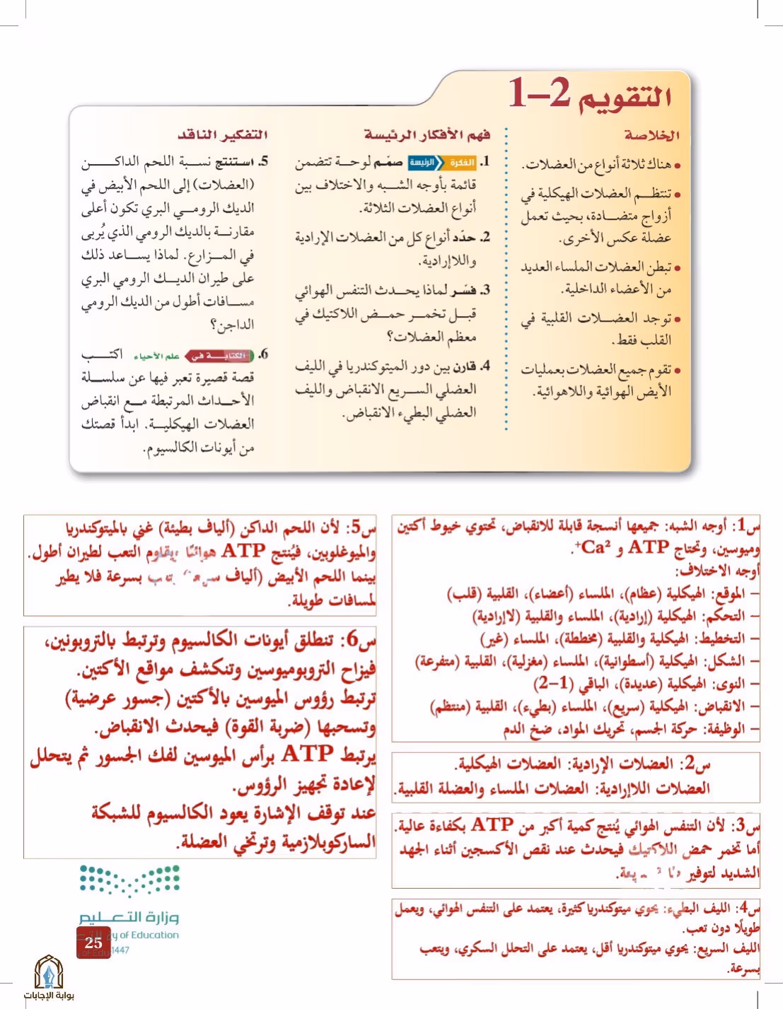 صفحة 25