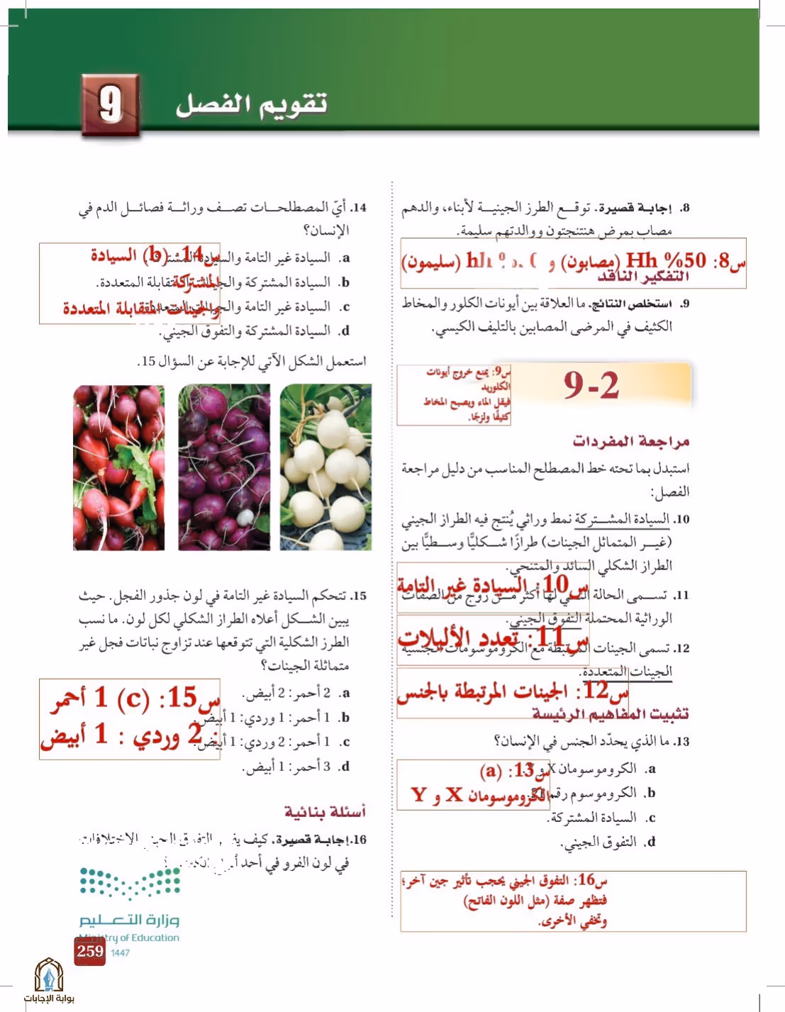 صفحة 259