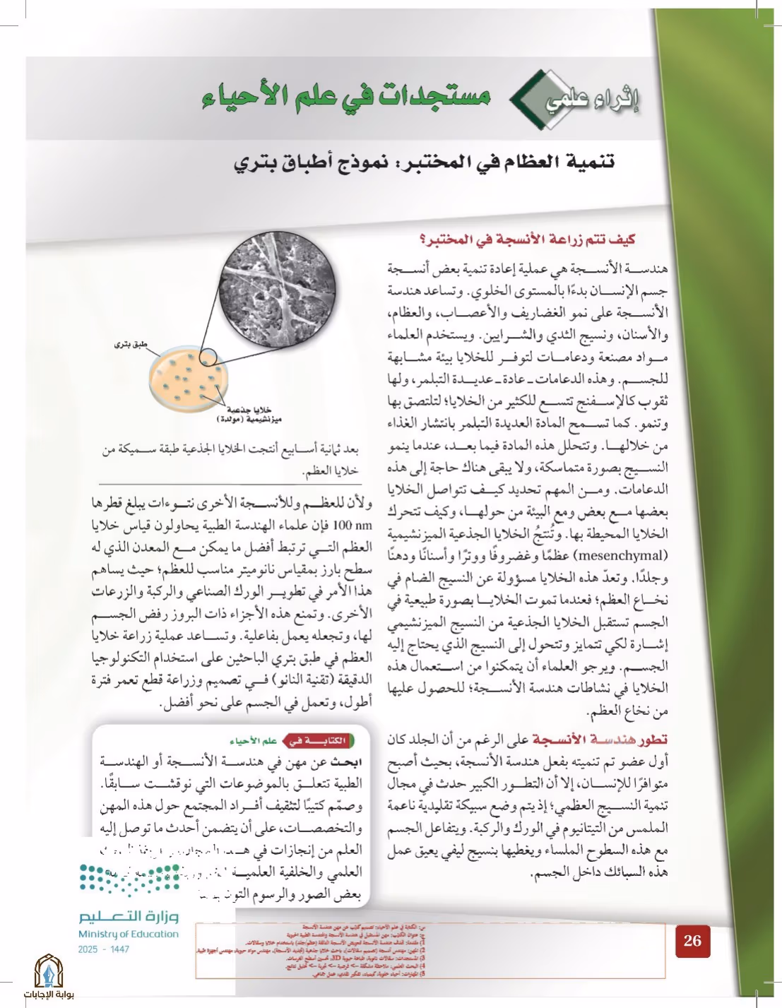 صفحة 26