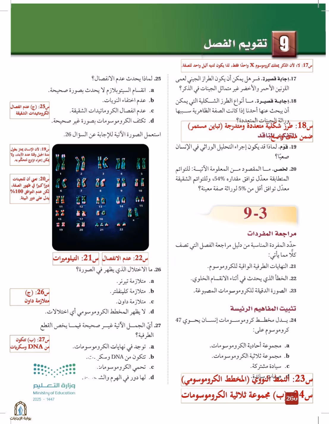 صفحة 260