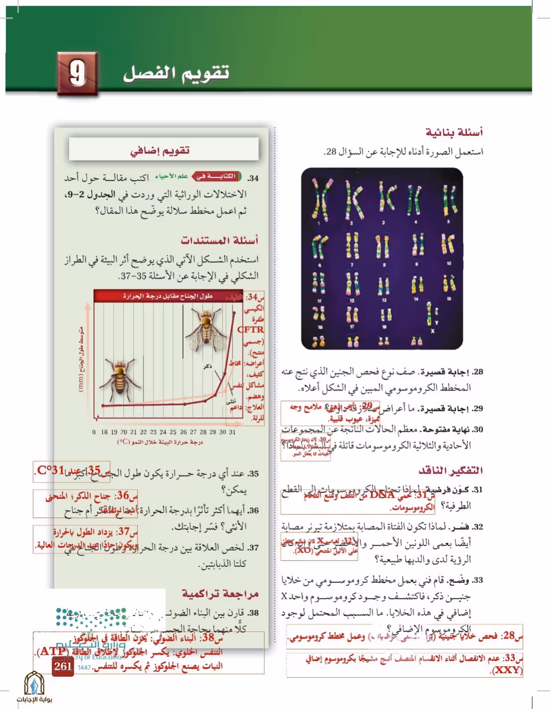 صفحة 261