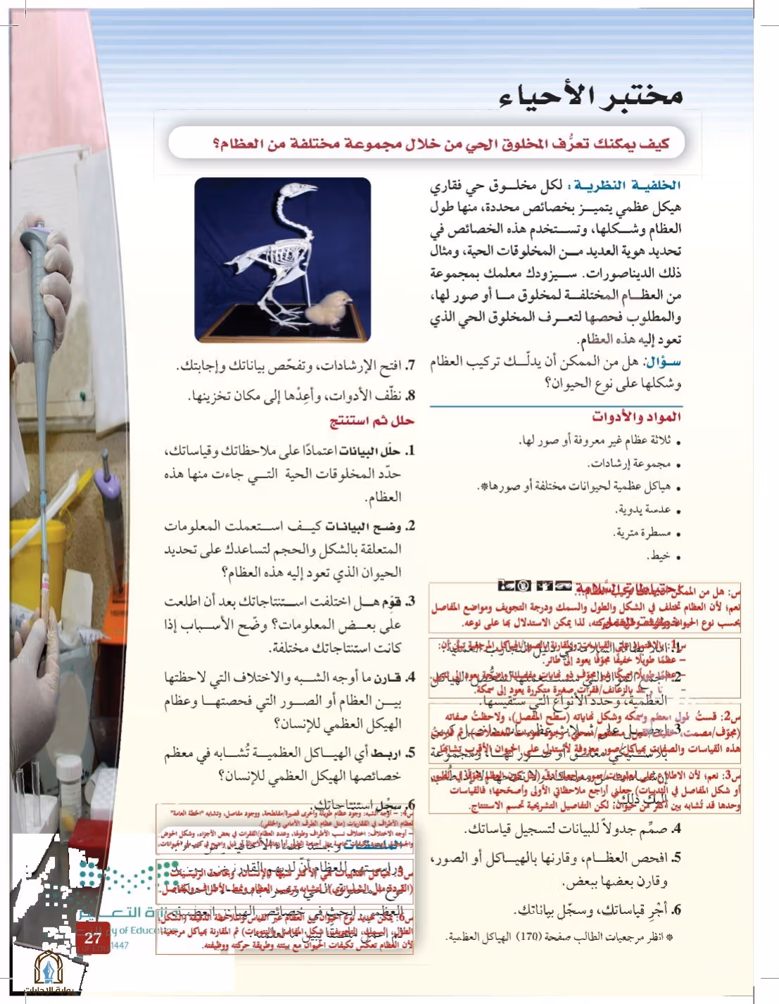 صفحة 27