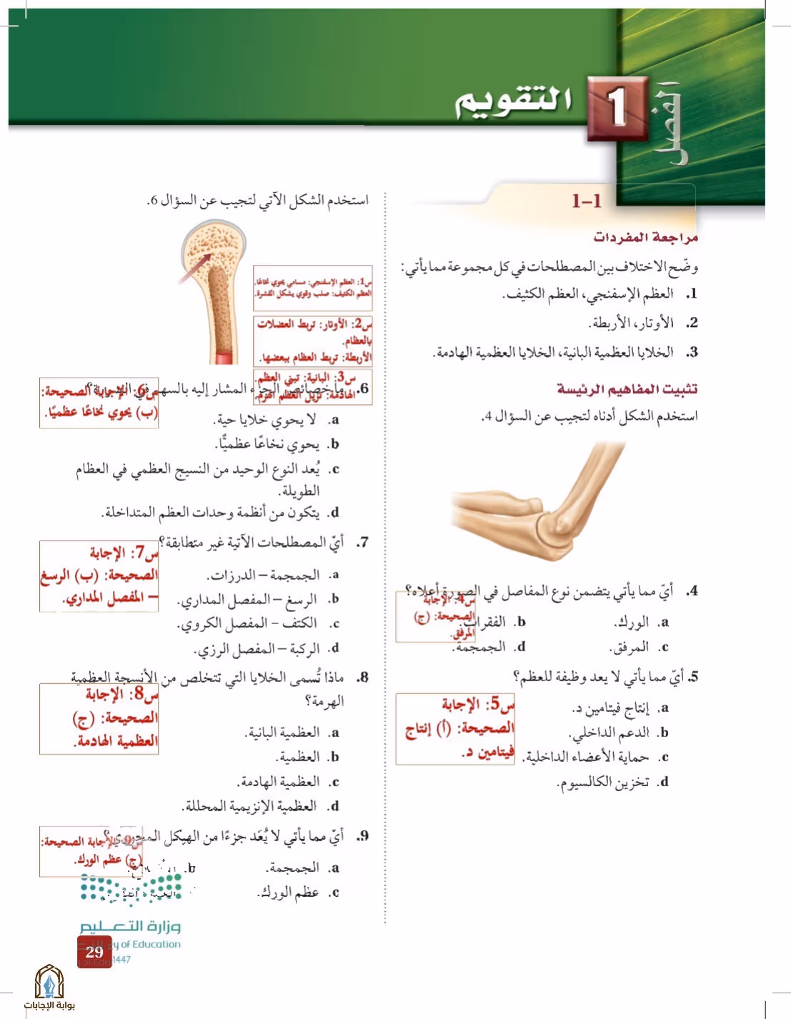 صفحة 29