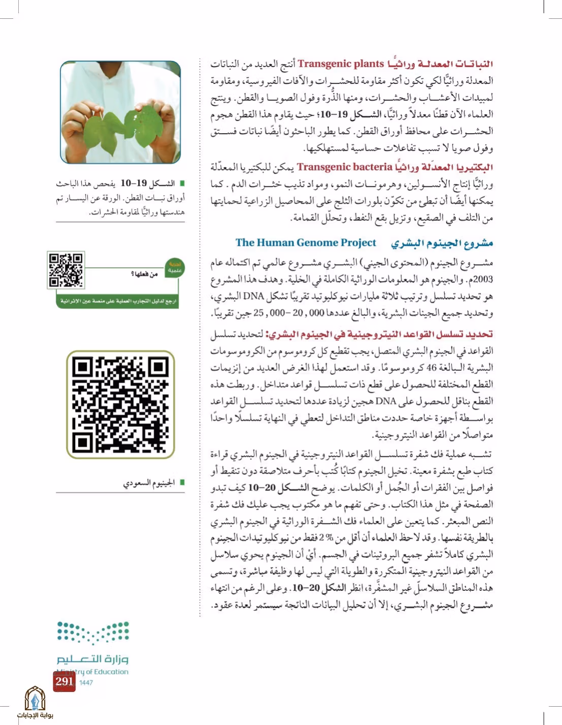 صفحة 291