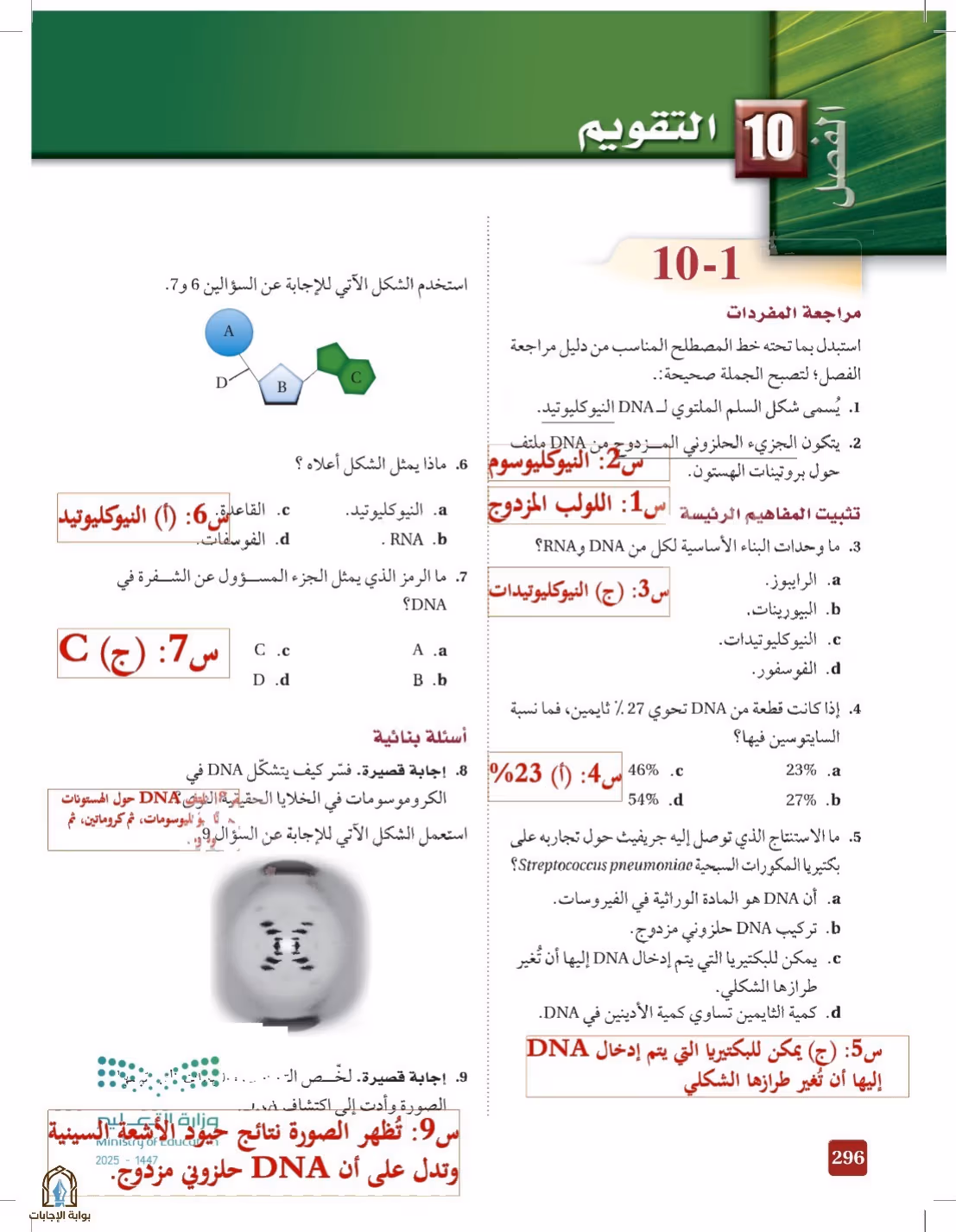 صفحة 296