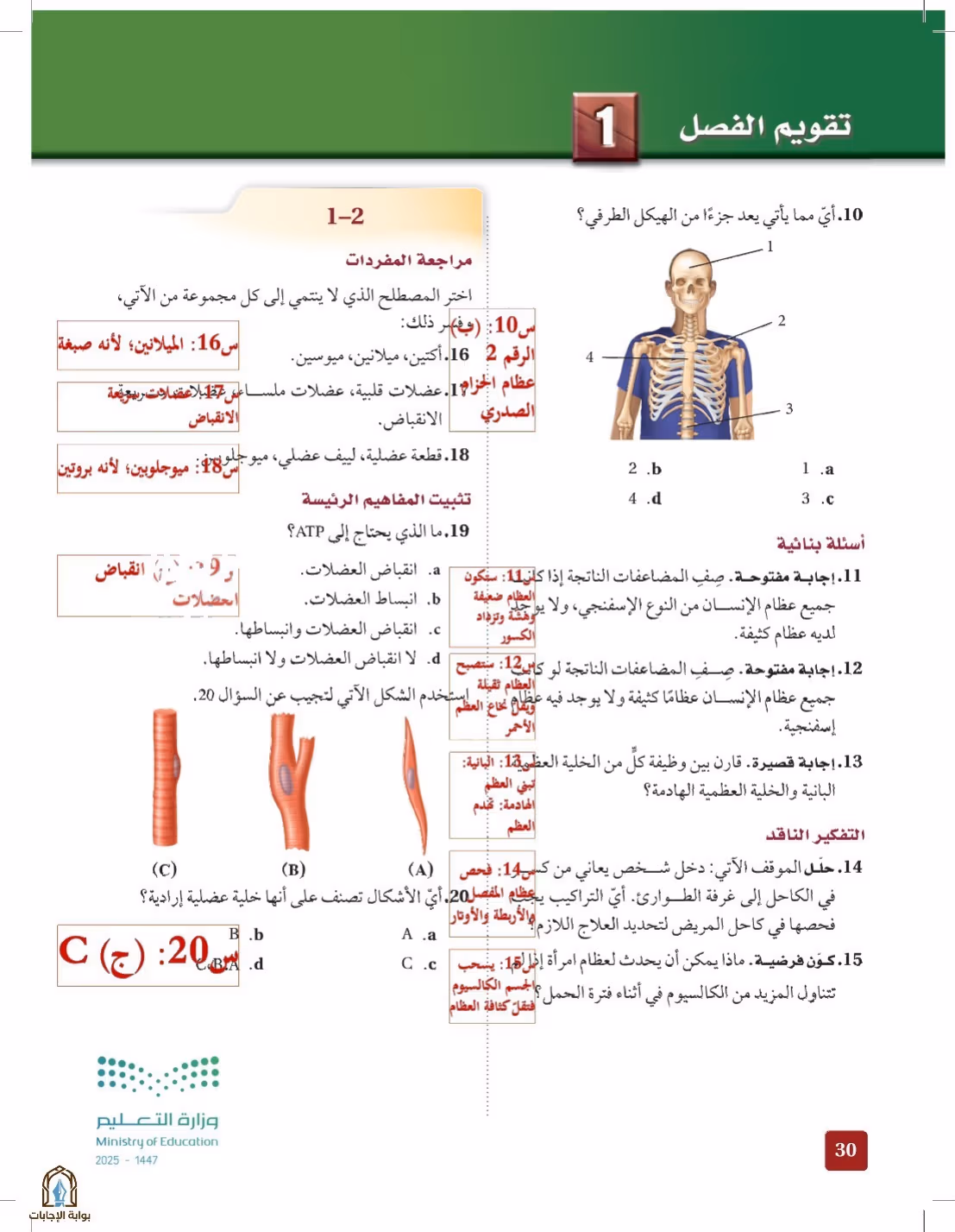 صفحة 30