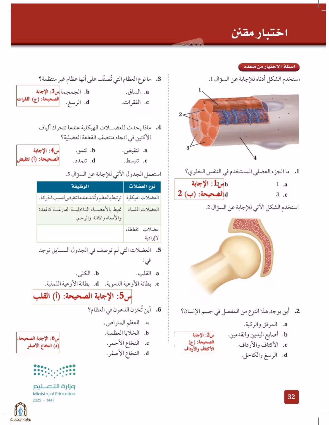 صفحة 32
