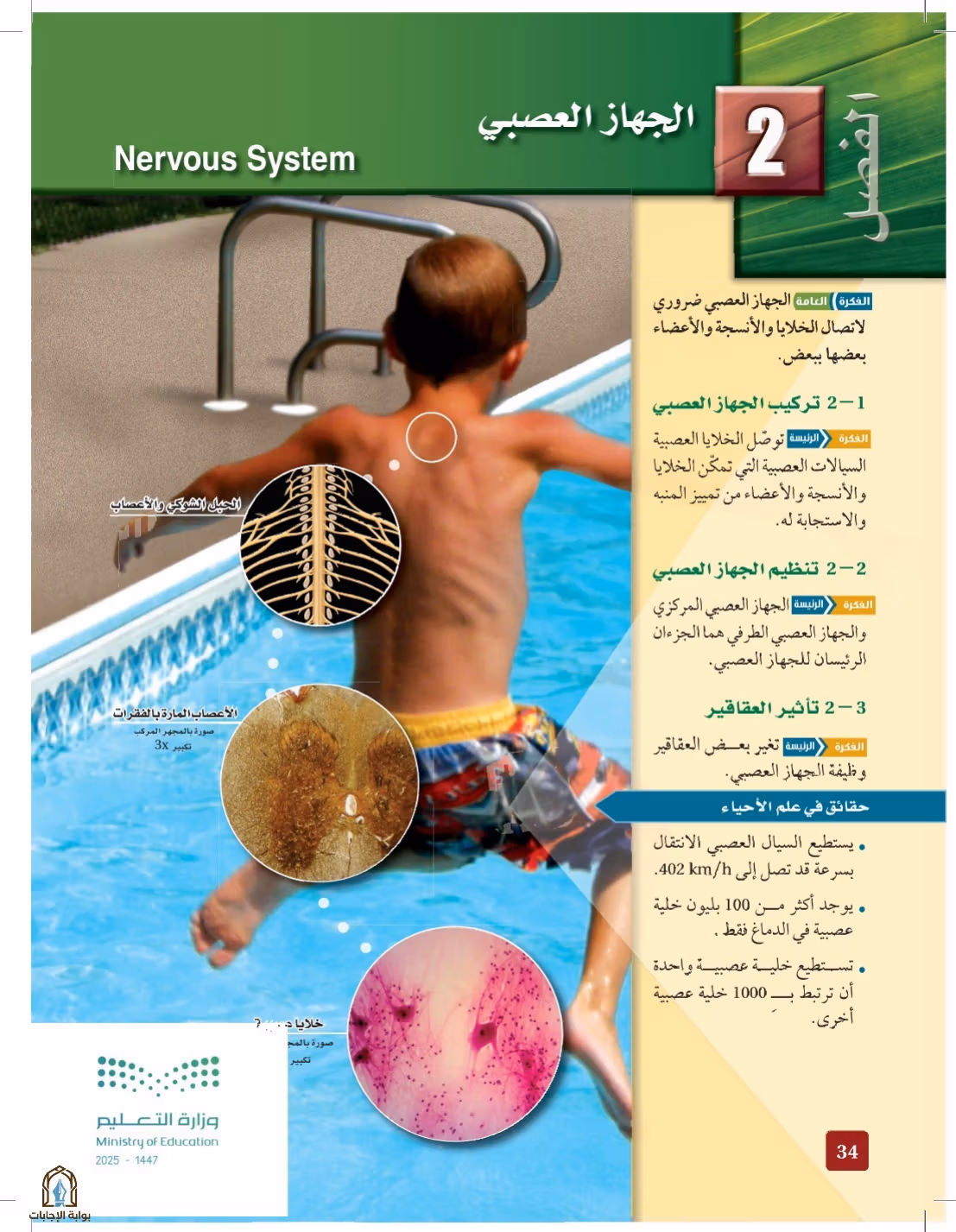 صفحة 34