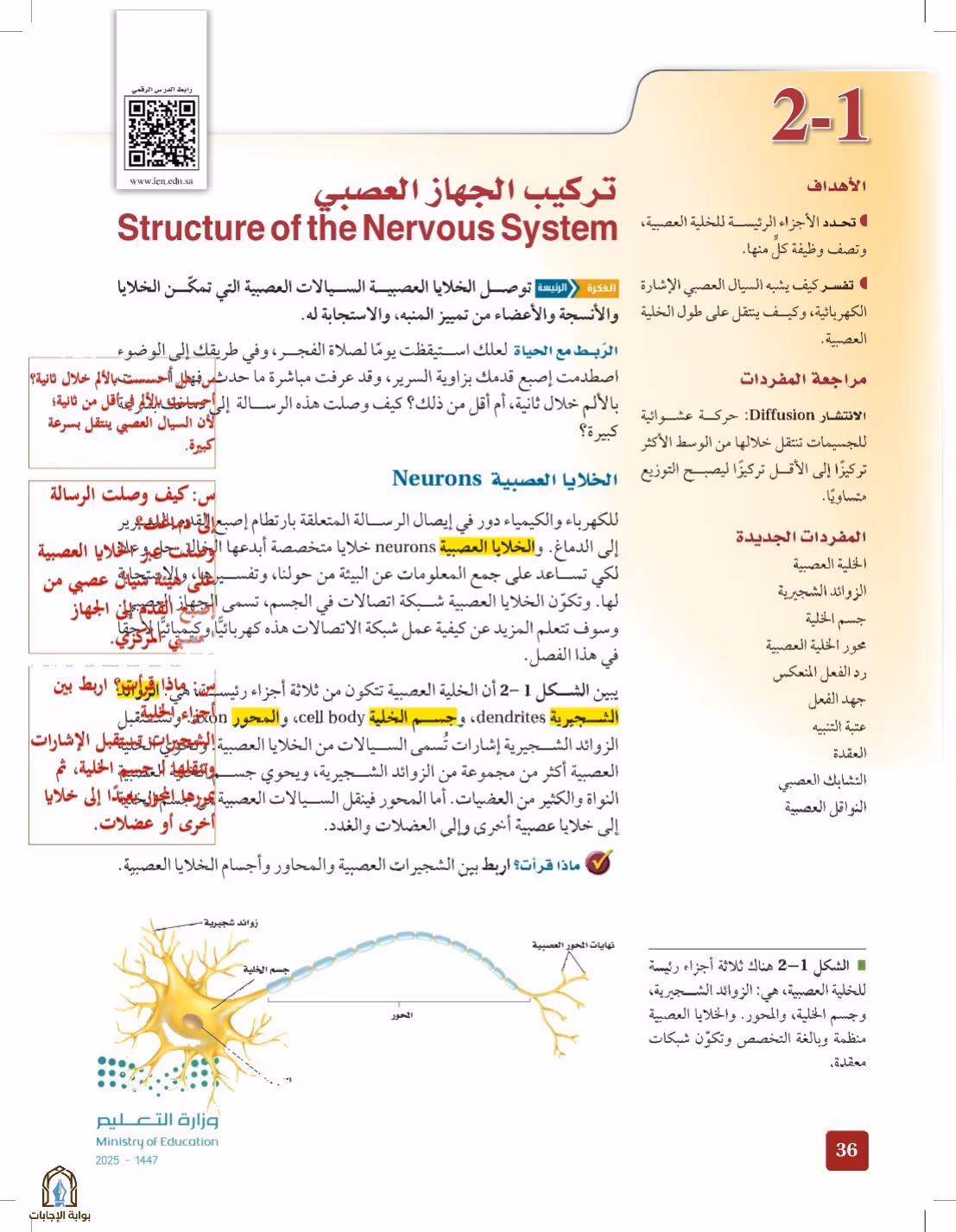 صفحة 36