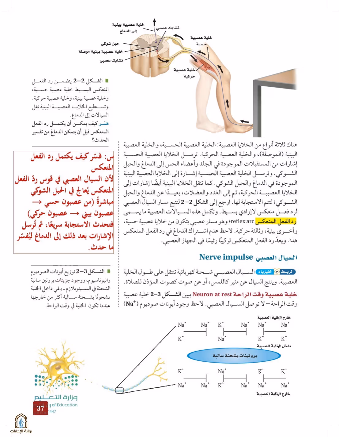 صفحة 37