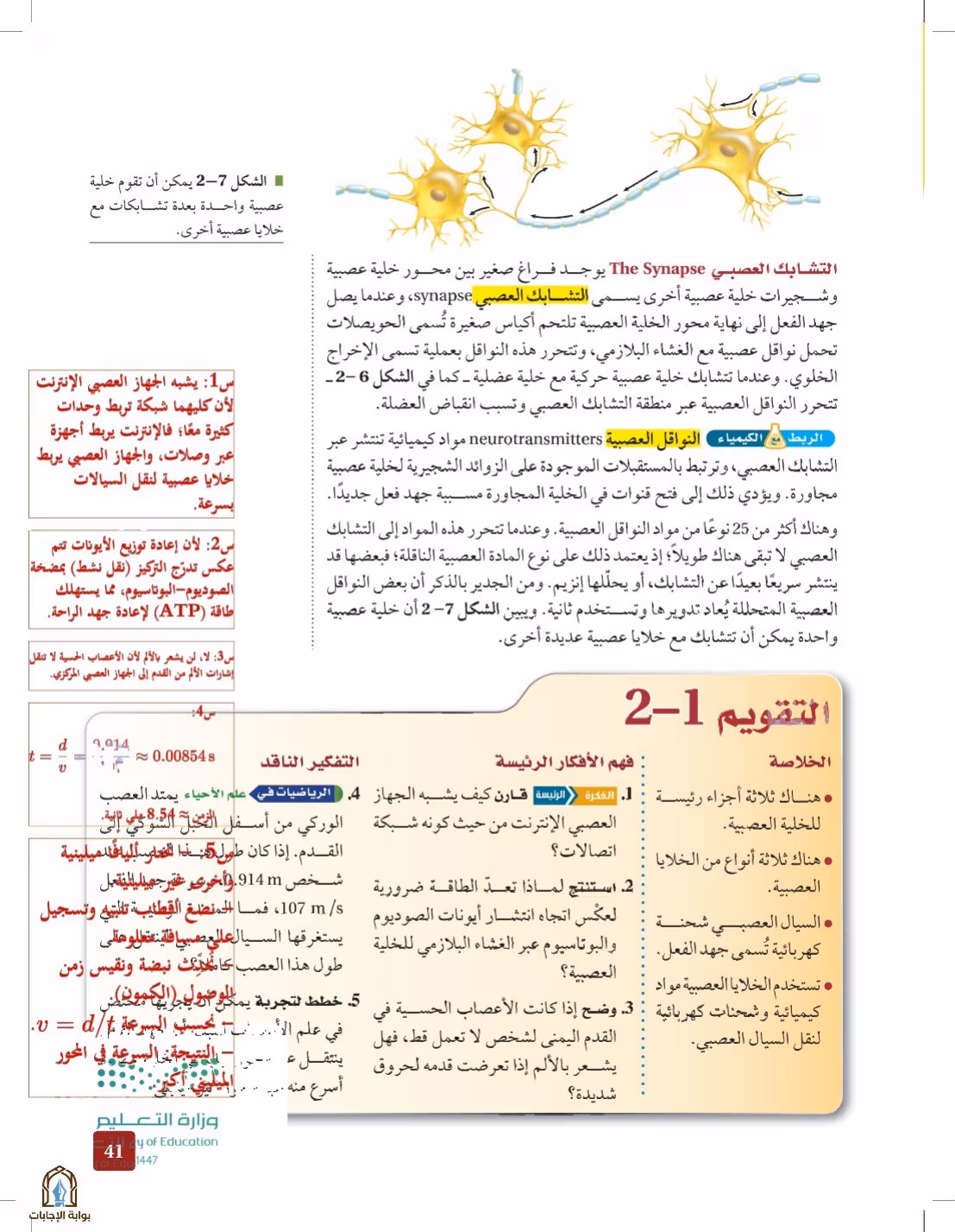صفحة 41