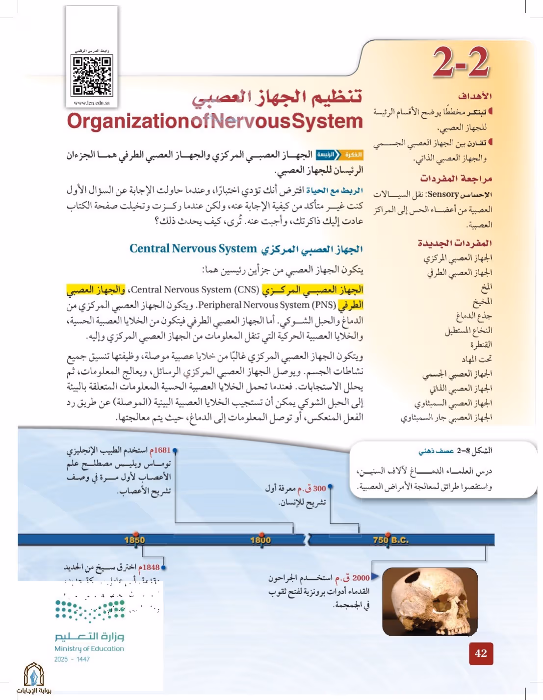 صفحة 42