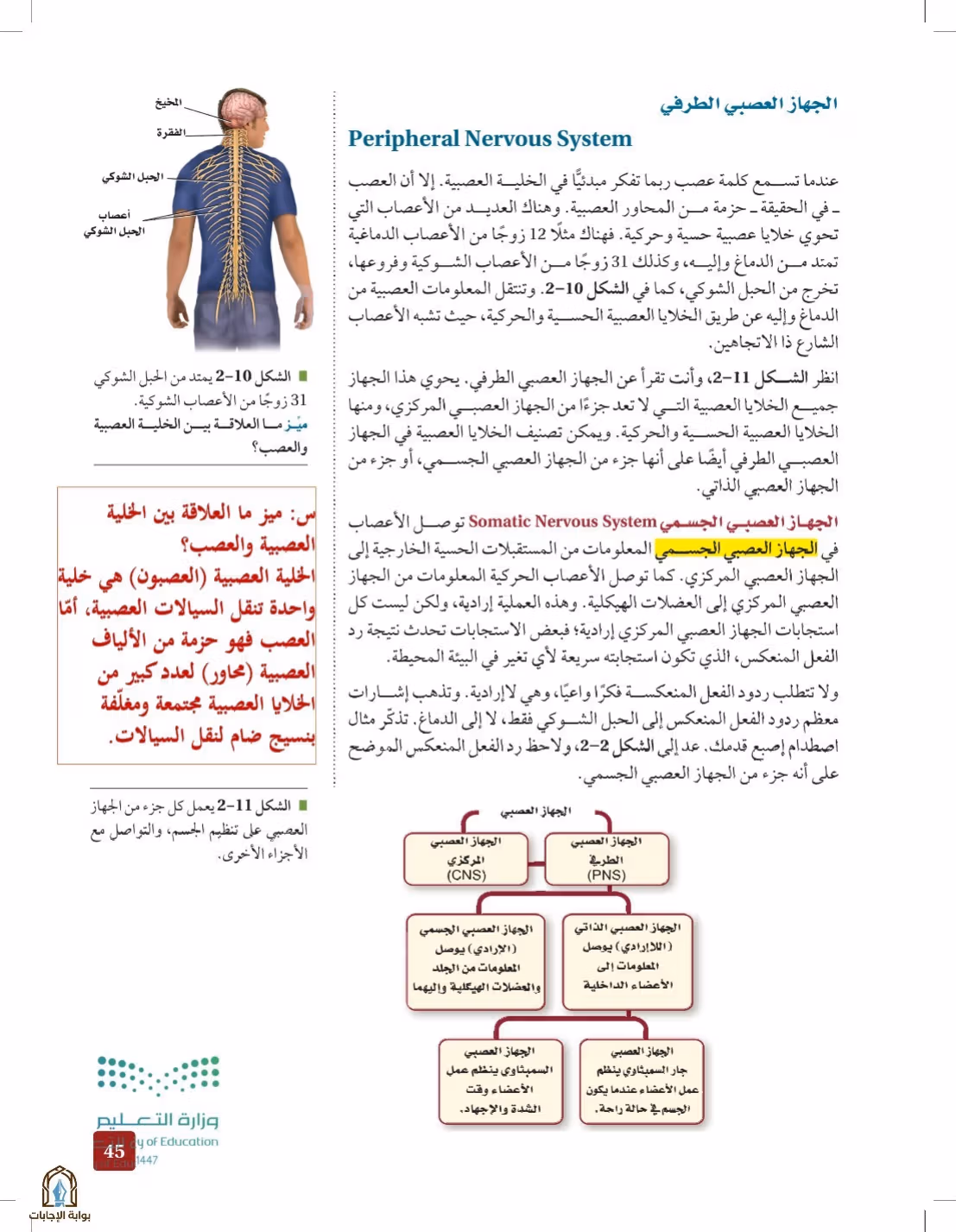 صفحة 45