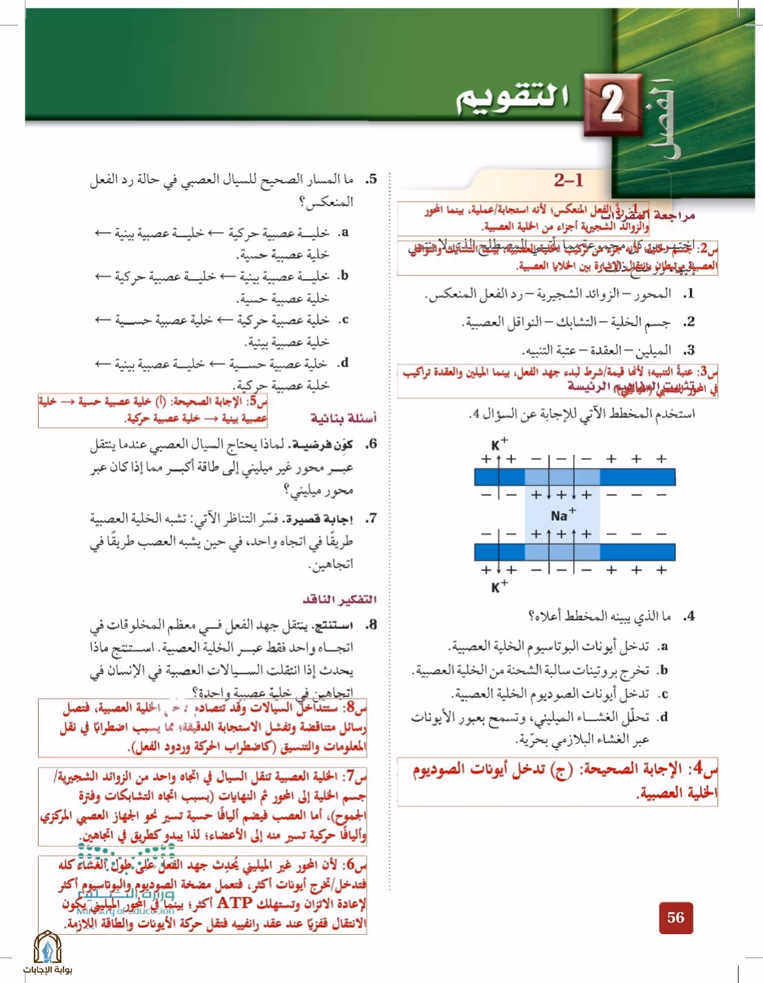 صفحة 56
