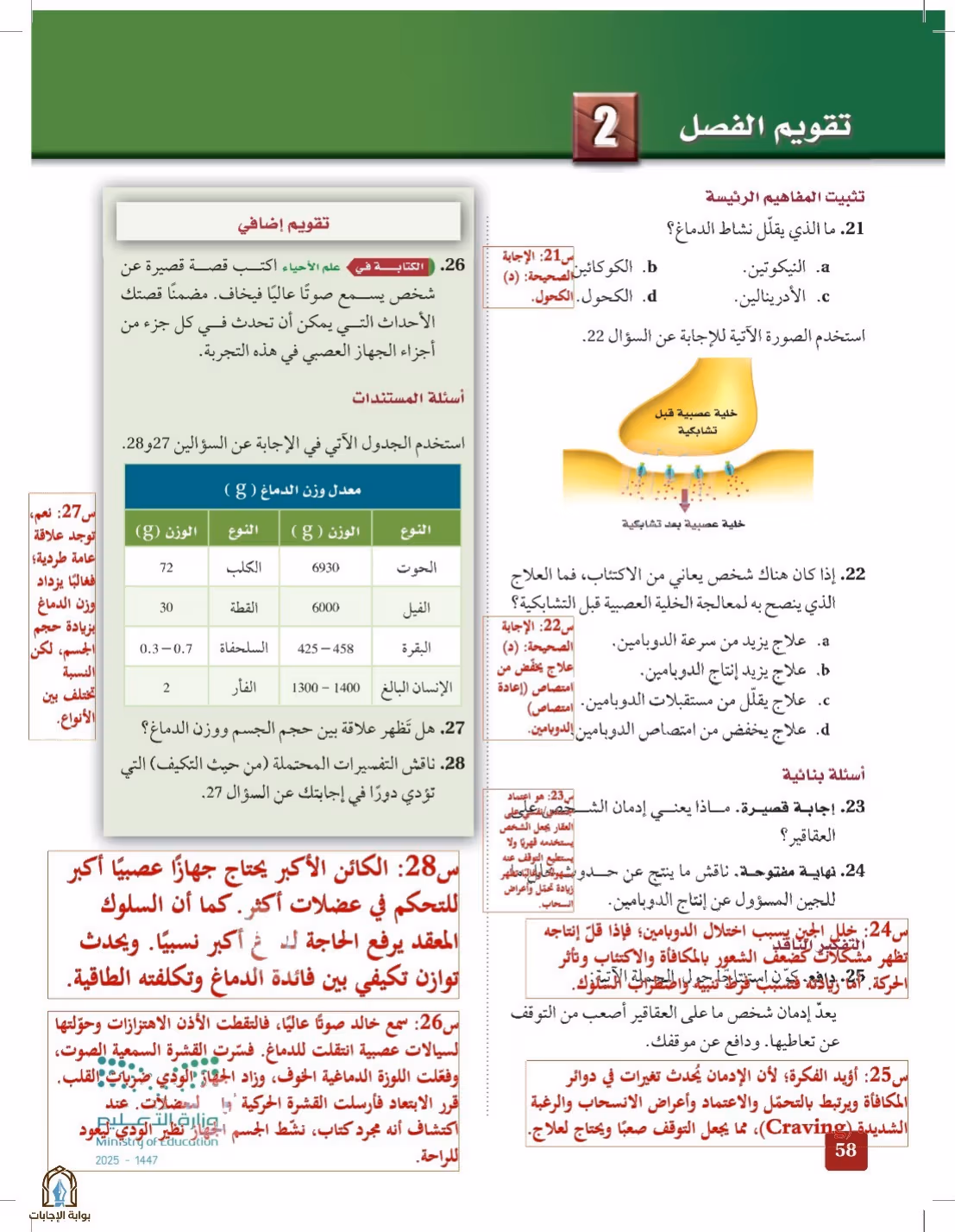 صفحة 58