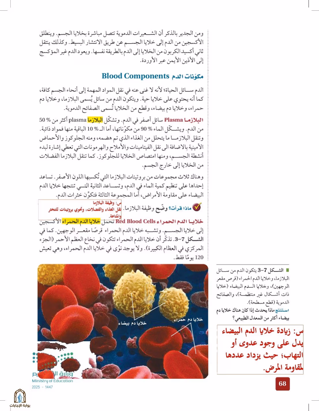 صفحة 68